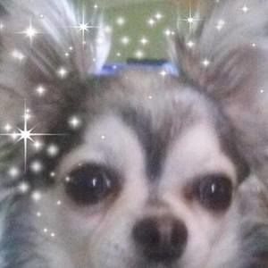 Meet your Posher, Debby